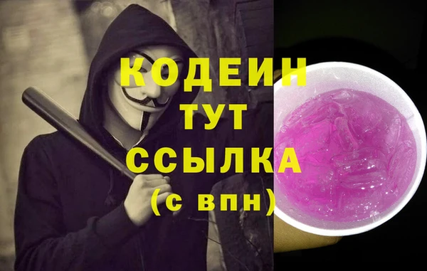 хмурый Гусь-Хрустальный