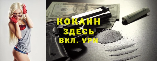 первитин Гусев