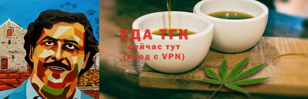 хмурый Гусь-Хрустальный