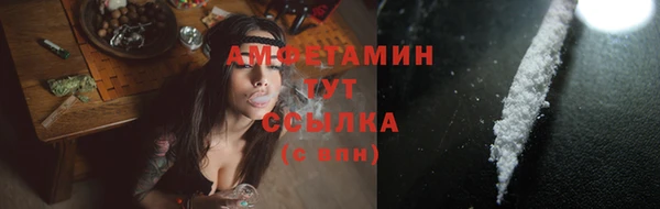 хмурый Гусь-Хрустальный