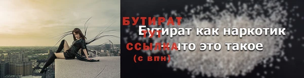 хмурый Гусь-Хрустальный