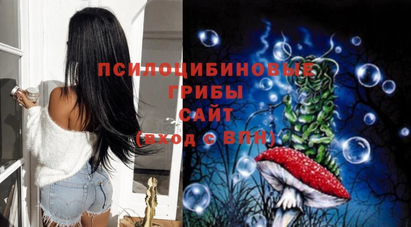первитин Гусев