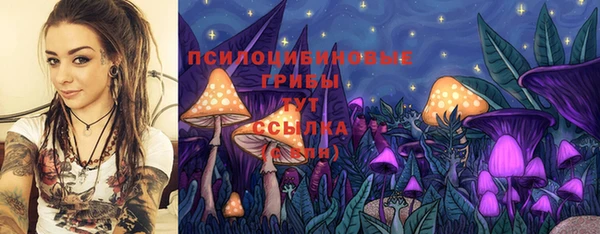 mdma Гусиноозёрск
