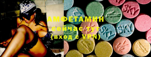 первитин Гусев