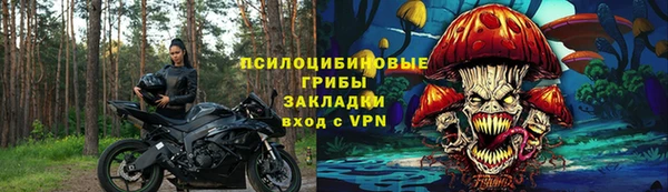 хмурый Гусь-Хрустальный