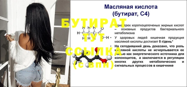 хмурый Гусь-Хрустальный