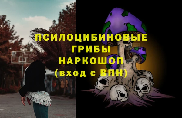 хмурый Гусь-Хрустальный